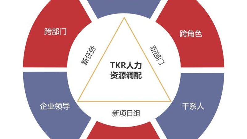 员工背景调查：工作经历核实的时间解析